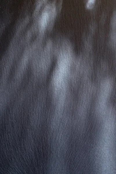 Taş Sayfa Siyah Doku — Stok fotoğraf