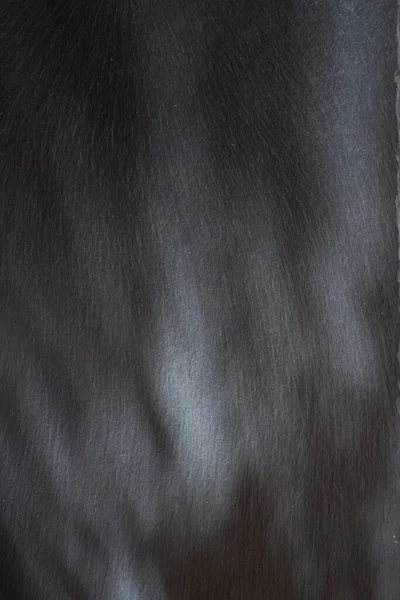 Piedra Pizarra Negro Textura — Foto de Stock