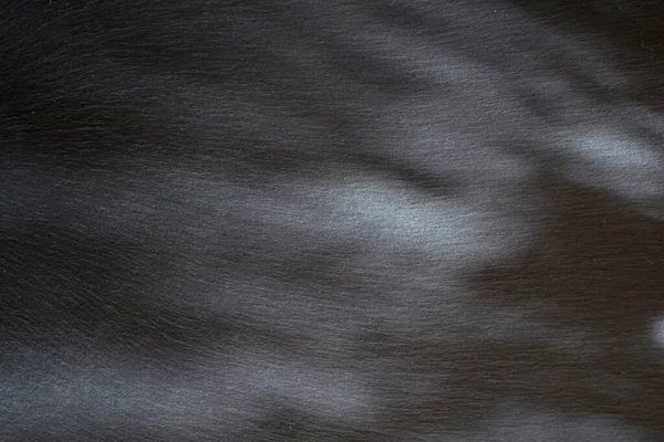 Taş Sayfa Siyah Doku — Stok fotoğraf