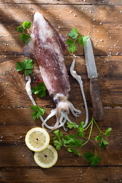 Fresh Raw Squid Close View — Stock Photo, Image