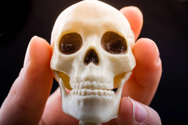 Human skeleton skull model in hand posing for medical anatomy science