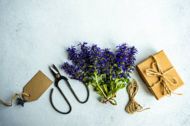 Mavi çiçeklerle yaz arka plan