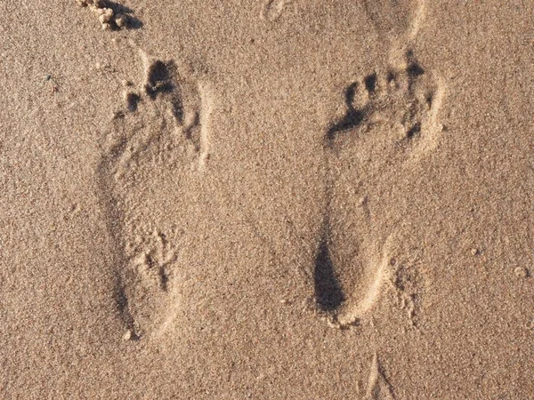 人类在沙滩上的脚印 — 图库照片