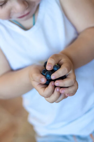 子供の手に有機ブルーベリーを熟す 熟した果実 子供の手のひらの中のブルーベリー — ストック写真