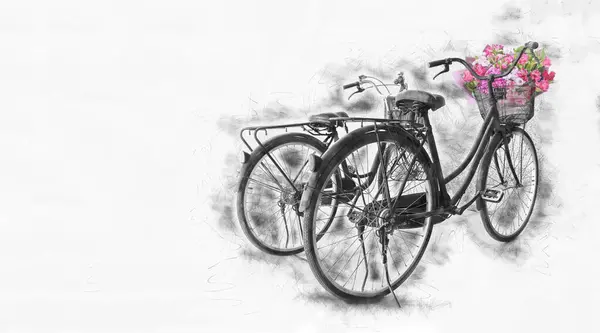 白い背景に2台の自転車 — ストック写真
