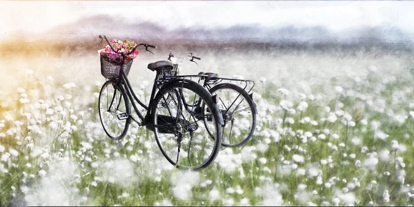 Landskap Med Cykel Naturskön Utsikt — Stockfoto