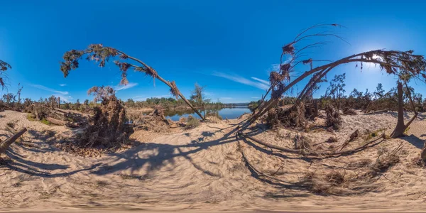 Sferyczne Panoramiczne Zdjęcie Upadłych Drzew Rezerwacie Yarramundi Regionalnej Australii — Zdjęcie stockowe