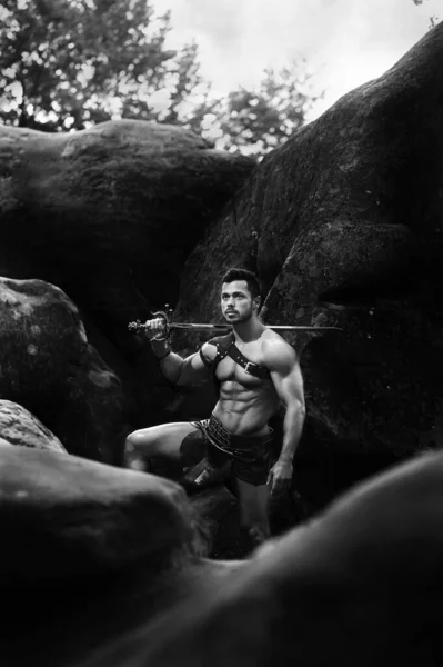 森の中で強力な戦士 — ストック写真