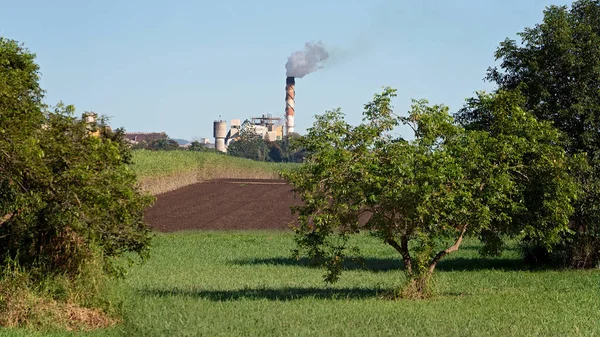 Working Smoking Sugar Cane Mill Viewed Paddock Trees Foreground Crushing — Stock Photo, Image