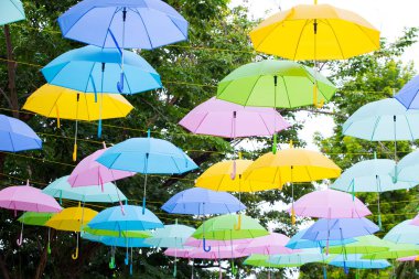 Parktaki renkli şemsiyeler.