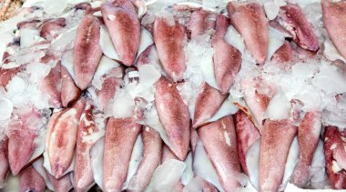 Taze mürekkep balığı ve deniz ürünleri pazarında