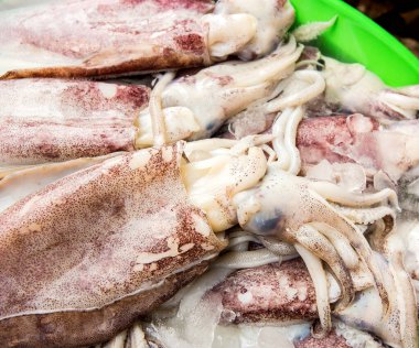 Taze mürekkep balığı ve deniz ürünleri pazarında