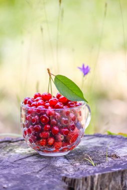 Ripe cherries and strawberries in a transparent cup on tree stump. Fresh red fruits in summer garden 
