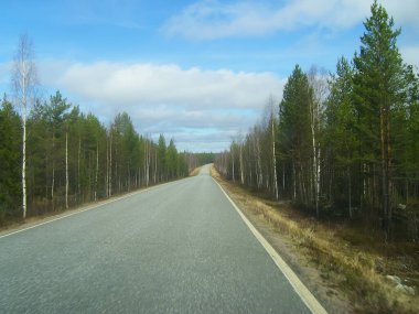Finlandiya 'nın kırsal kesimlerinde karayolu.