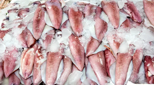 Calamari Freschi Frutti Mare Sul Mercato — Foto Stock