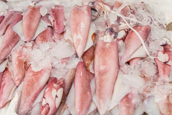 Taze Mürekkep Balığı Deniz Ürünleri Pazarında — Stok fotoğraf
