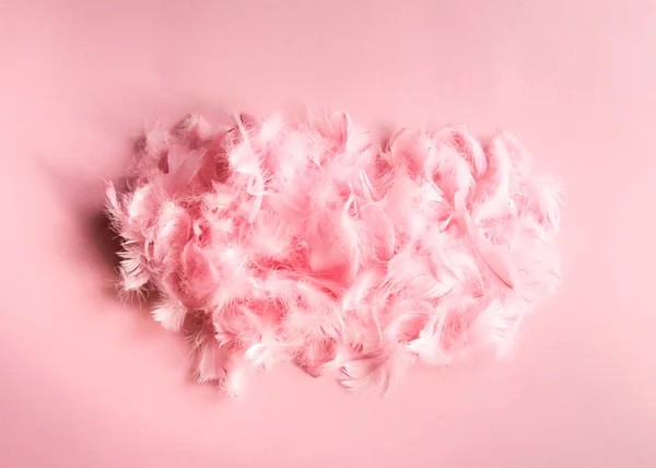 Easter Composition Traditional Decor Pink Feathers — Fotografia de Stock