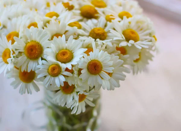 Όμορφα Ανθισμένα Λουλούδια Floral Φόντο — Φωτογραφία Αρχείου