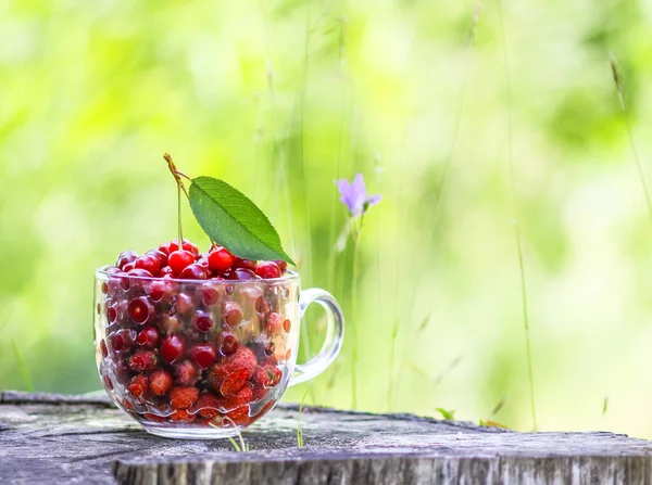 Ripe Cherries Strawberries Transparent Cup Tree Stump Fresh Red Fruits — Stock fotografie