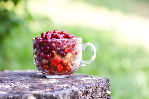 Ripe Cherries Strawberries Transparent Cup Tree Stump Fresh Red Fruits — Stok fotoğraf