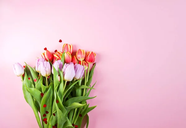 Wiosna Piękne Kwiaty Tulipan Miękkim Pastelowym Tle — Zdjęcie stockowe