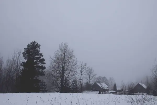 Vackert Vinterlandskap Med Lantliga Hus Och Träd Snö — Stockfoto