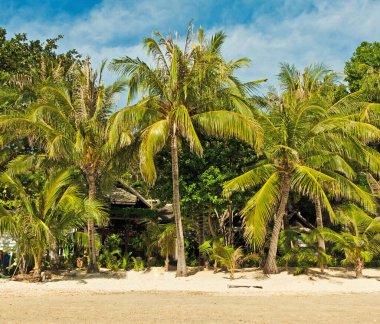 Ko Samet, Tayland arkaplan görüntüsü