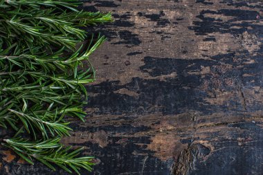 Arka plan için biberiyenin taze organik dallarının yakın plan çekimleri.