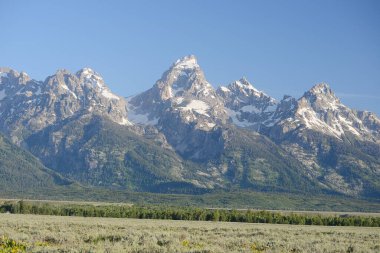 Büyük Teton Dağı manzarası 