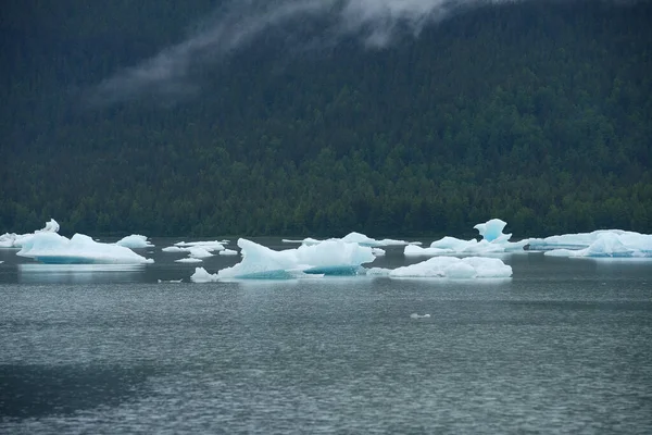 Ledovec Zimní Zasněžená Krajina — Stock fotografie