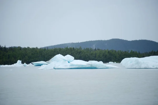 Flotador Iceberg Lago —  Fotos de Stock