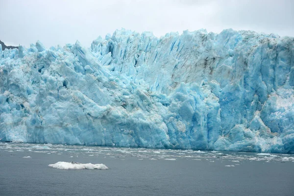 Lanskap Gletser Pasang Surut — Stok Foto