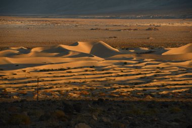 Güneşli bir günde kum tepeleri manzarası 