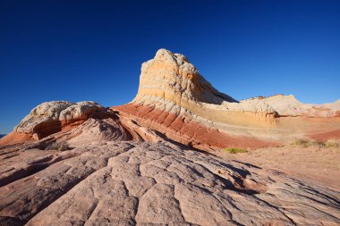 Güzel Kuru Çöl Manzarası