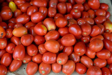 kırmızı domates arkaplan görüntüsü