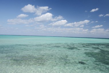 Okinawa Kristal Deniz manzarası