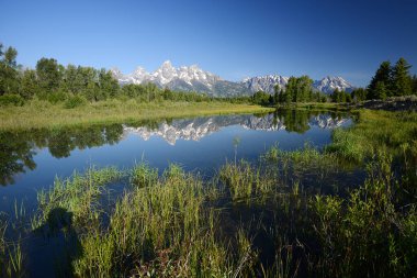 Yansımalı Grand Teton Ulusal Parkı