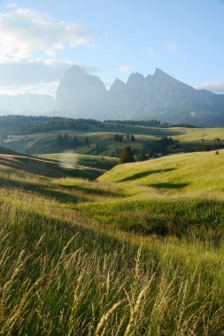 Alpe di Siusi dağ manzarası 