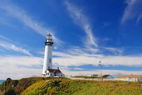 Nature Landscape Pigeon Point Lighthouse California Usa — 스톡 사진