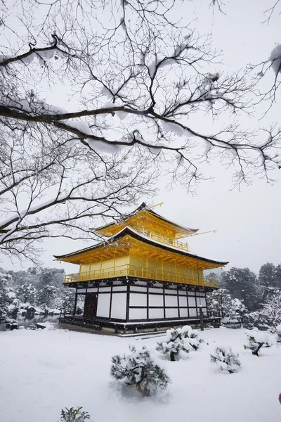Kinkakuji Snö Gyllene Paviljongens Tempel — Stockfoto