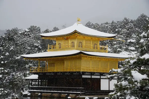 Kinkakuji Dans Neige Temple Pavillon — Photo
