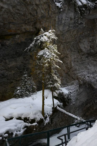 Johnston Canyon Banff Téli Havazással — Stock Fotó