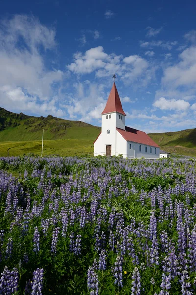 Krajobraz Lupine Islandii — Zdjęcie stockowe