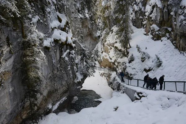 Johnston Canyon Banff Winter Snow — Stok fotoğraf