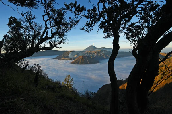 Montaña Bromo Con Capa Niebla Amanecer Java Oriental Indonesia — Foto de Stock