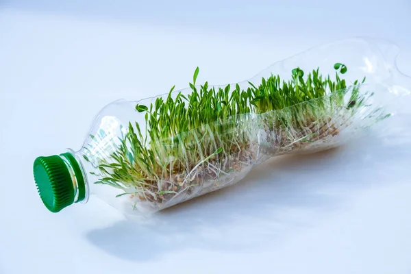 プラスチックボトルの若い緑の植物 生態系と環境の会話 地球の日の概念 地球規模の汚染 種まき — ストック写真