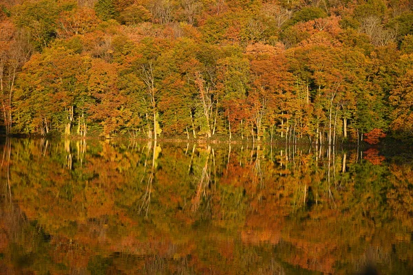 Autumn Reflection Tsuta Pond Aomori Tohoku Region Japan — Stok Foto