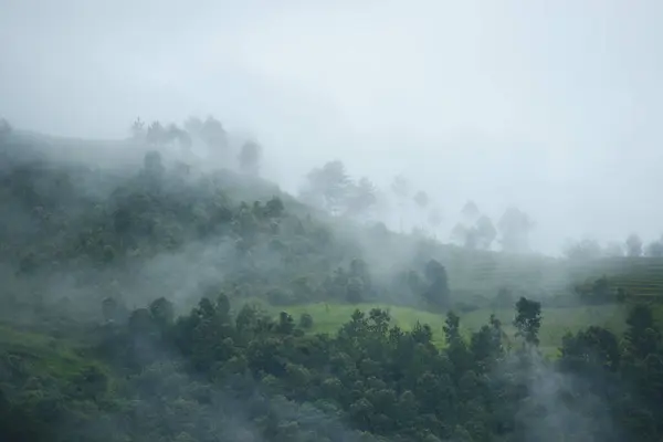 Вьетнамский Утренний Туман — стоковое фото