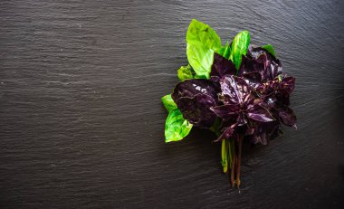 Arka plan için taze organik fesleğenin yakın plan çekimi