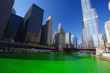 Chicago gökyüzü manzaralı, ABD, Illinois